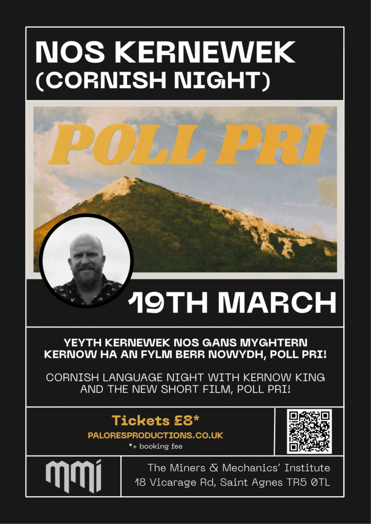 NOS KERNEWEK NIGHT POSTER (1)